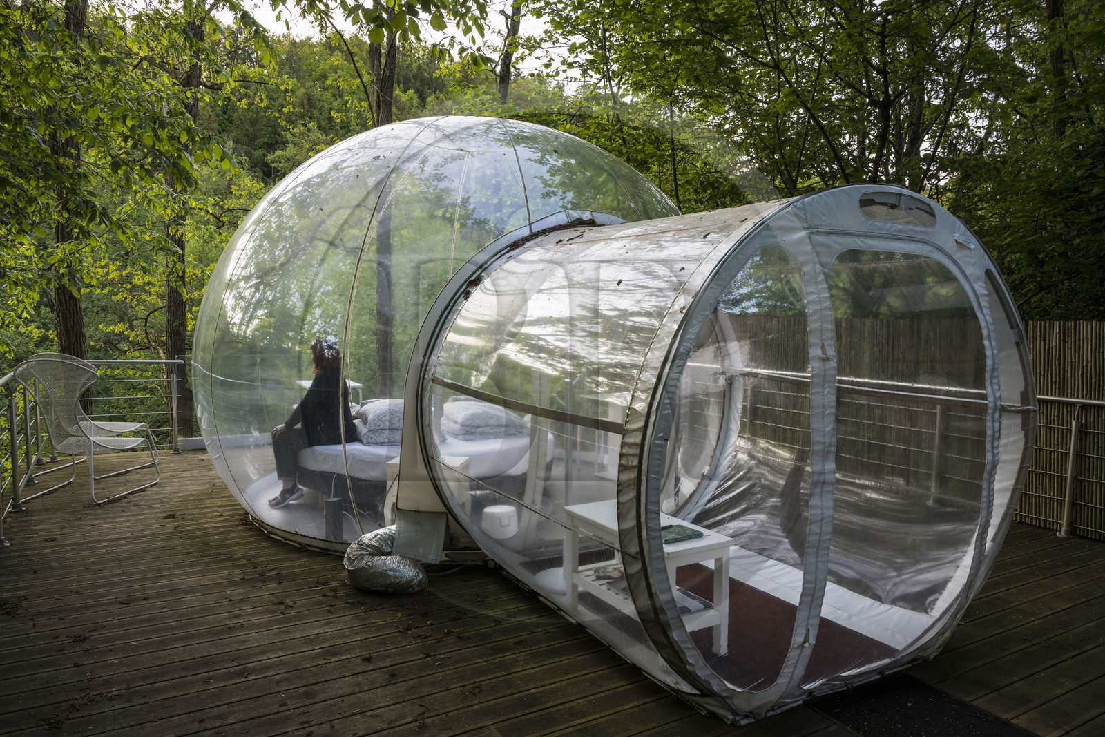 France, Moselle (57), Parc régional des Vosges du nord, Siersthal – Holbach près de Bitche, chambres d'Hôtes la Grange d’Hélène, la bulle souple