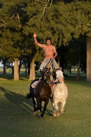 Argentine, province de Buenos Aires, San Antonio de Areco, estancia La Bamba de Areco, demonstration du savoir-faire d'un cavalier amerindien avec son cheval