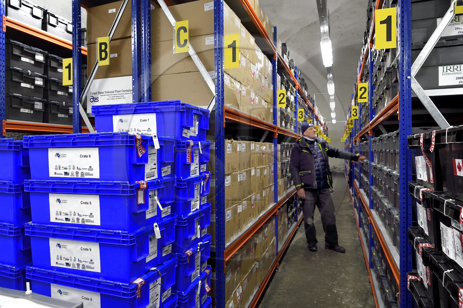 Norvège, Svalbard, Spitzberg, Longyearbyen, la Réserve mondiale de semences du Svalbard (banque de graines du Global Seed Vault), salle de stockage des semences artificiellement maintenue à -18°C, près de 900000 échantillons ont été déposés, provenant de 200 pays d'origine et de 73 instituts déposants