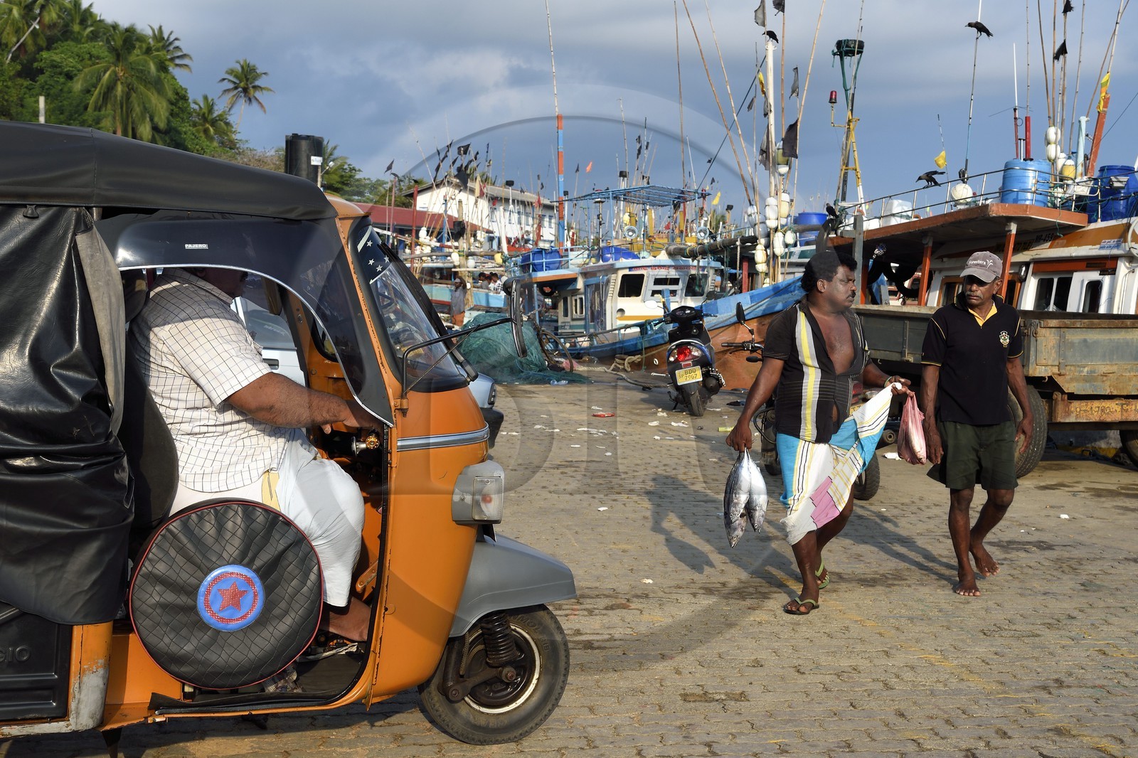 Sri Lanka, Province du Sud, Matara (district), Weligama, port de pêche de Mirissa