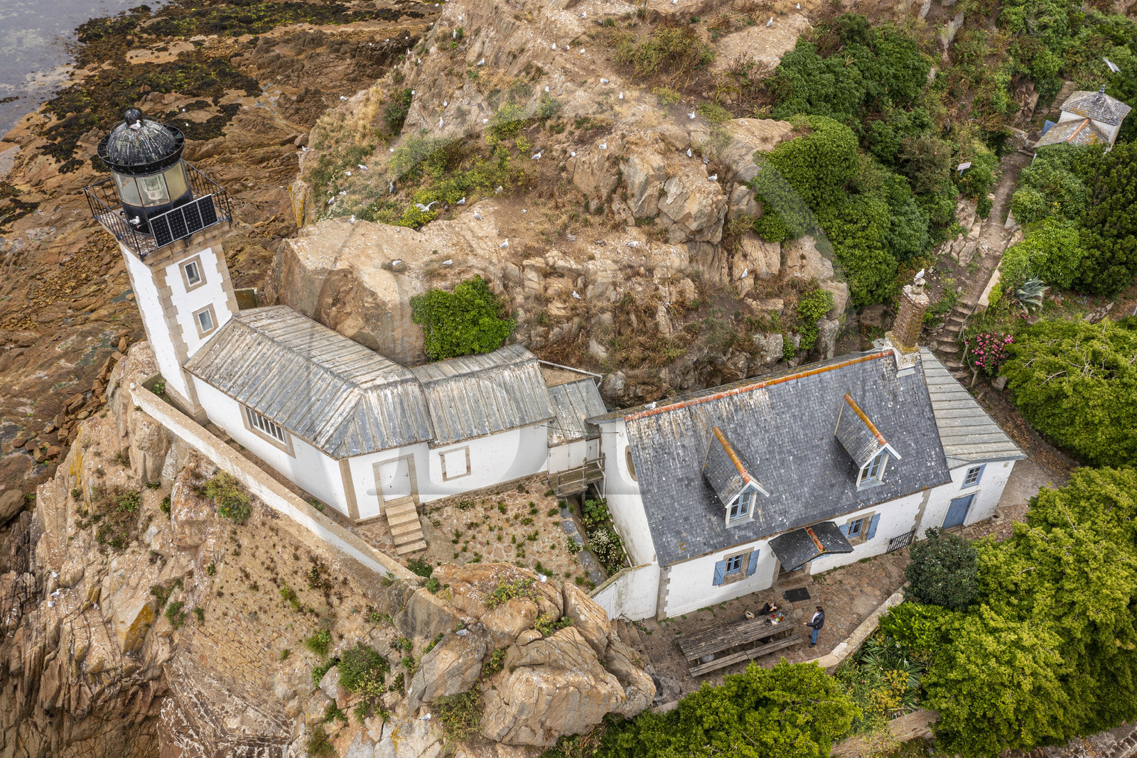 France, Finistère, Morlaix bay, Carantec, Louet Island and its lighthouse (aerial view)