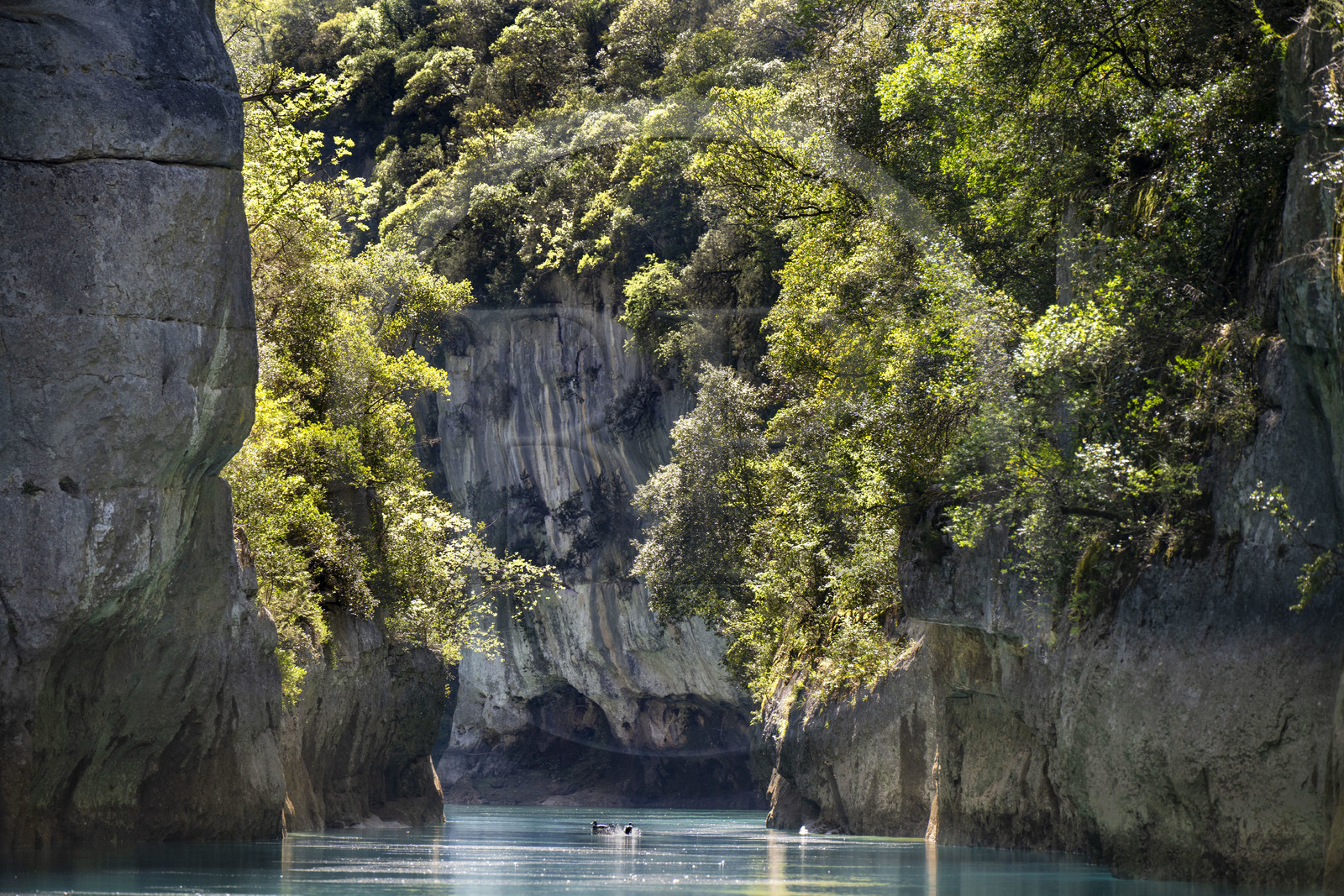 Var on the Left Bank and Alpes de Haute Provence on the Right Bank, Parc Naturel Regional du Verdon, Basses Gorges du Verdon downstream of Lake St. Croix, gorges de Baudinard