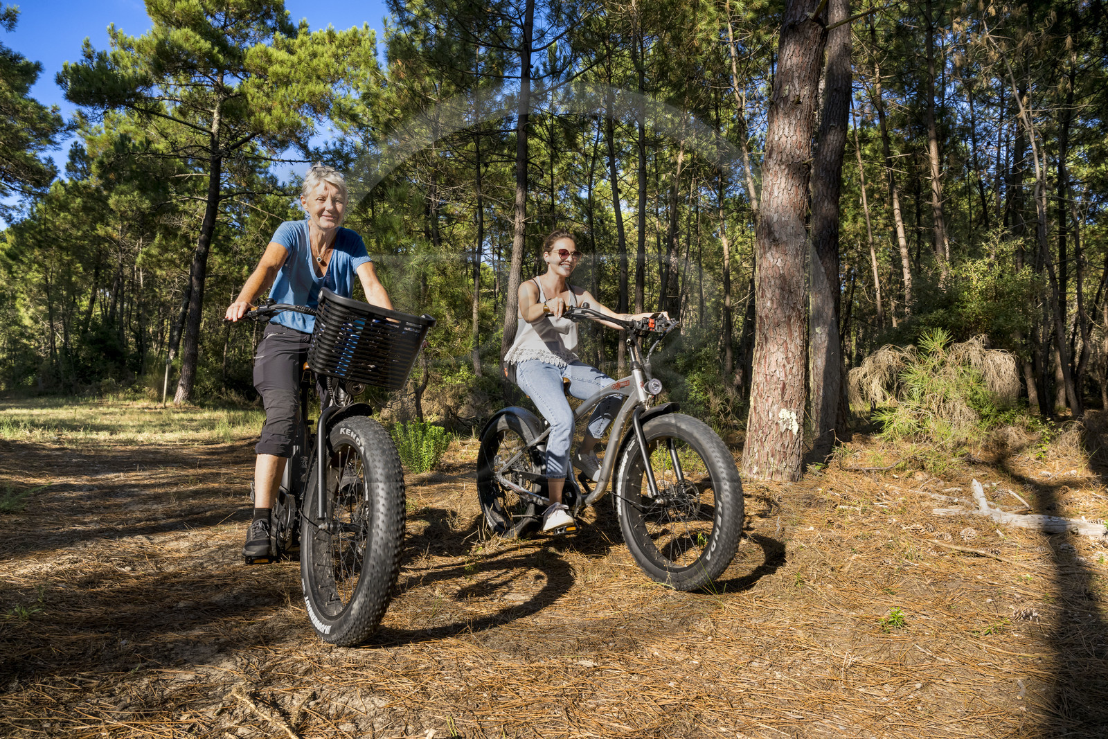 France, Charente-Maritime, Royan, La Tremblade, cyclists using Fat Bikes on the sandy paths of the Coubre and Combots d’Ansoine national forest along the Atlantic north of La Palmyre
