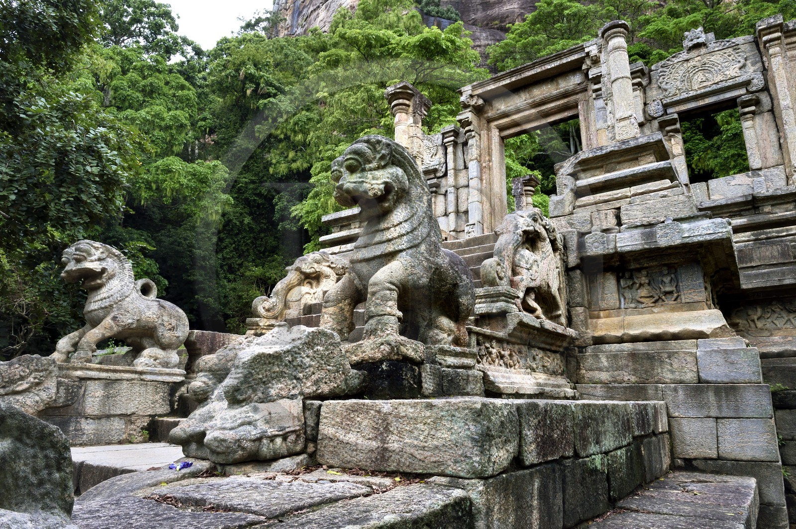 Sri Lanka, Province du Nord Ouest, le grand escalier de la forteresse de granit de Yapahuwa, éphémère capitale du pays au XIIIème siècle, la sculpture du lion