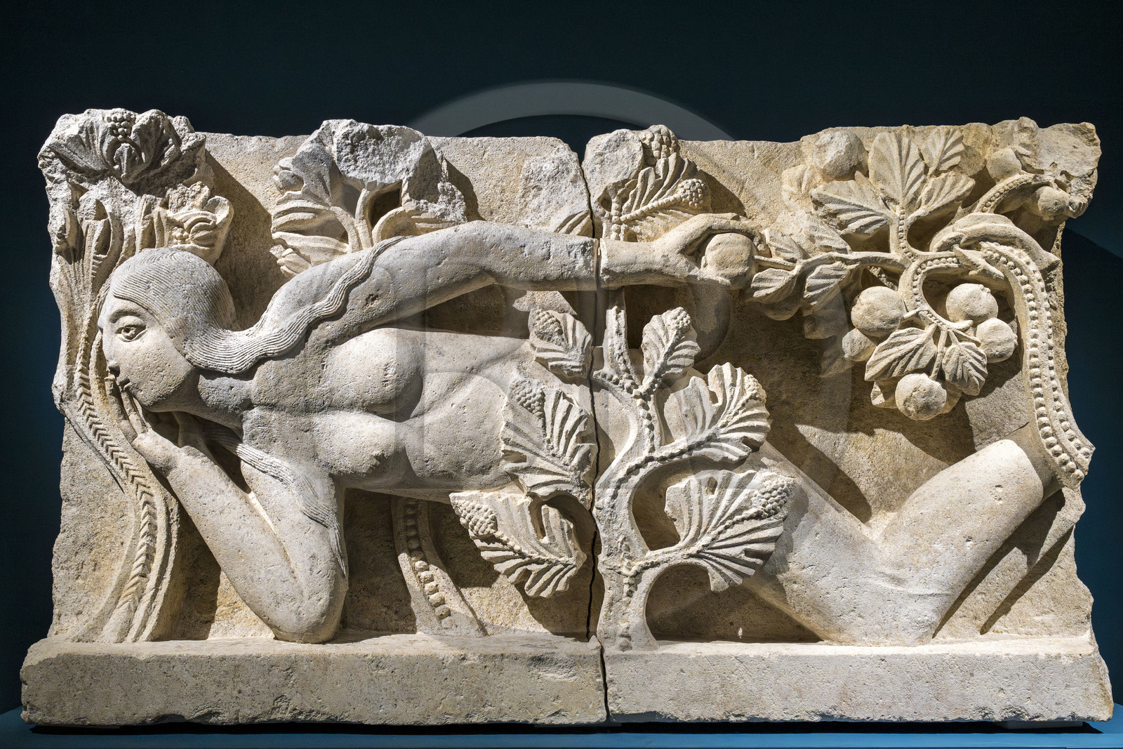 France, Saône-et-Loire (71), Autun, musée Rolin, exposition des chefs-d'oeuvres au muséum d'Histoire Naturelle pendant les travaux, élément de linteau La Tentation d'Ève (vers 1130), attribué à Gislebertus