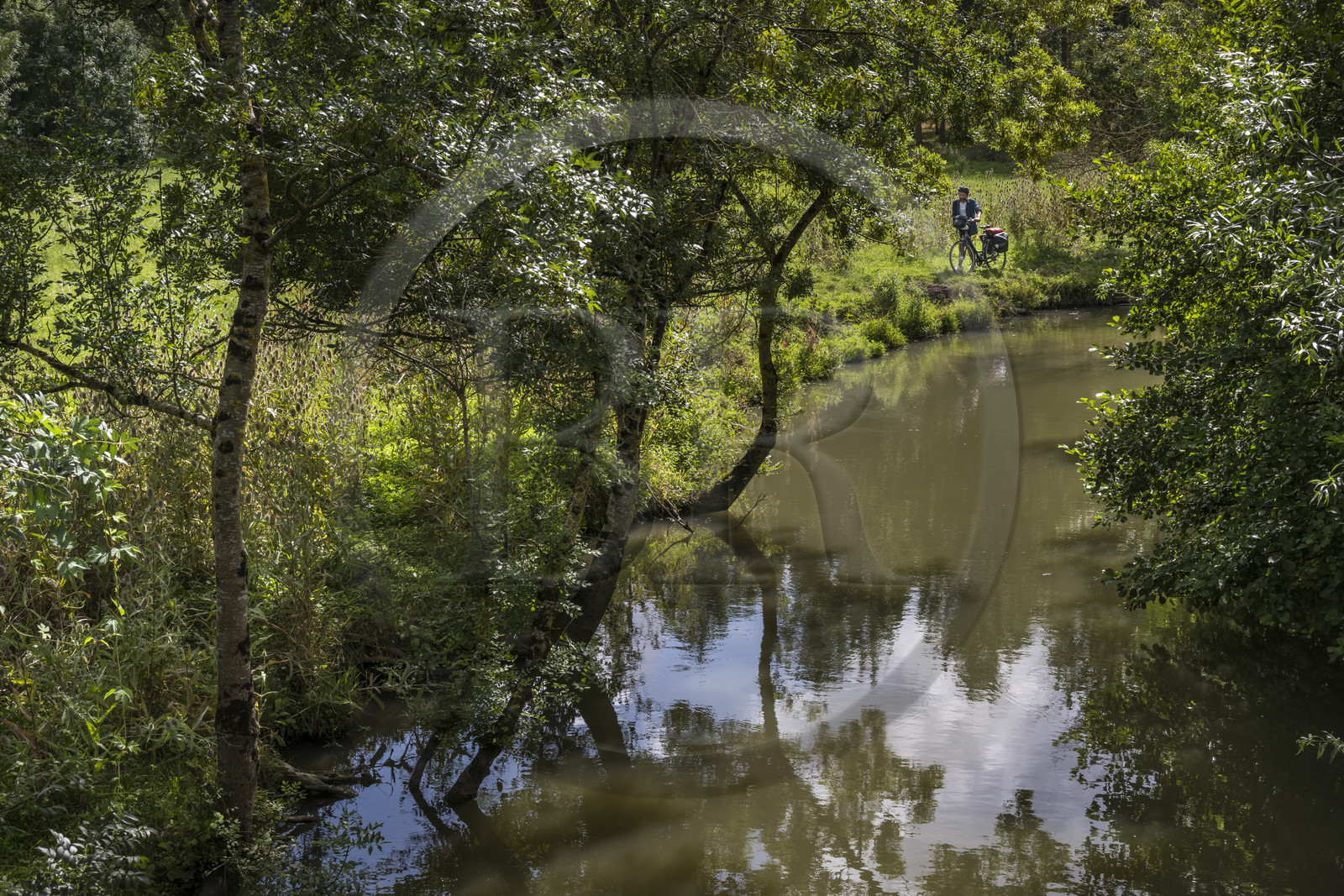 France, Deux-Sèvres, le Marais Poitevin, Green Venice, Le Vanneau-Irleau, bicycle journey along the canals