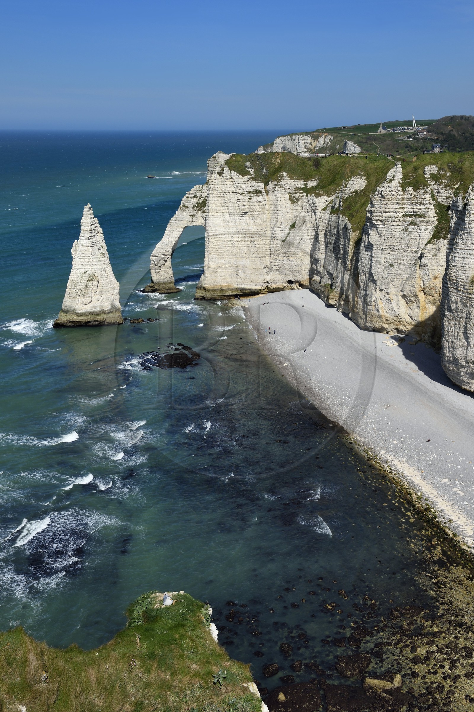 France, Seine-Maritime (76), Pays de Caux, Côte d'Albâtre, Etretat, la falaise d'Aval, l'Arche d'Aval et l'Aiguille