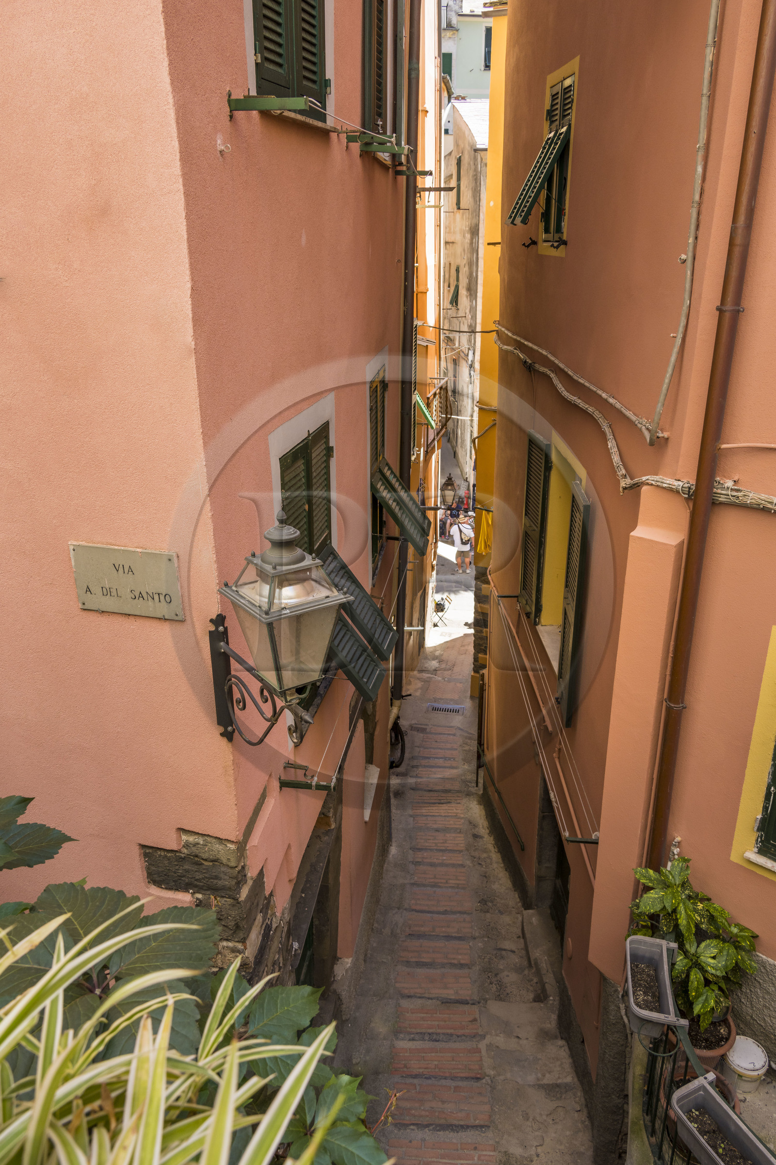Italie, Ligurie, Cinque Terre, parc national des Cinque Terre classé Patrimoine Mondial de l'UNESCO, village de Vernazza,