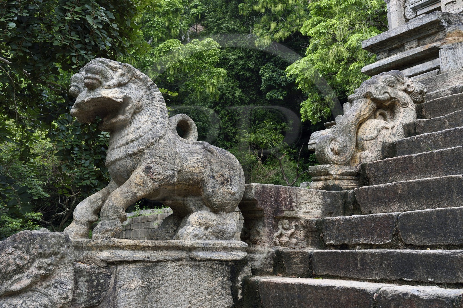 Sri Lanka, North Western Province, the citadel of Yapahuwa staircase, ephemeral capital of the country in the13th century, Lion stone sculpture