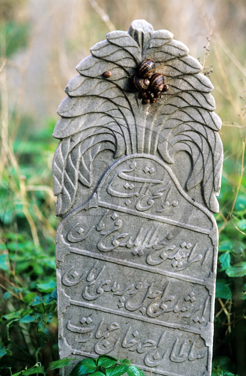 Turkey, Istanbul, Moslem grave