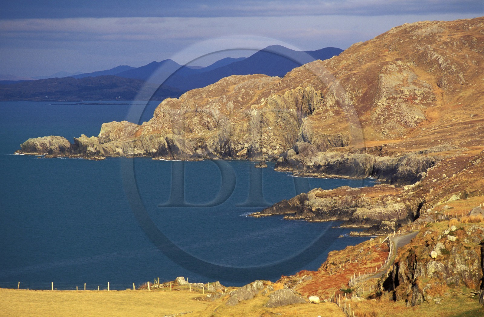 Irlande, comté de Cork, la péninsule de Beara