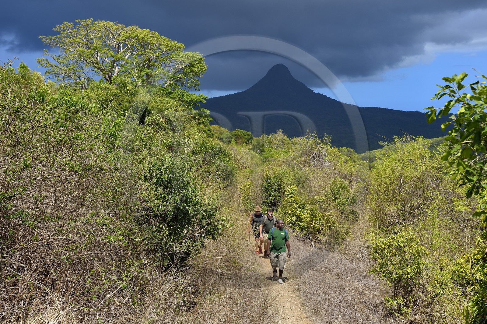 France, Ile de Mayotte, Grande-Terre, M'Tsamoudou, pointe de Saziley, randonneurs sur le sentier de grande randonnée faisant le tour de l'ile et le Mont Choungui en arrière plan