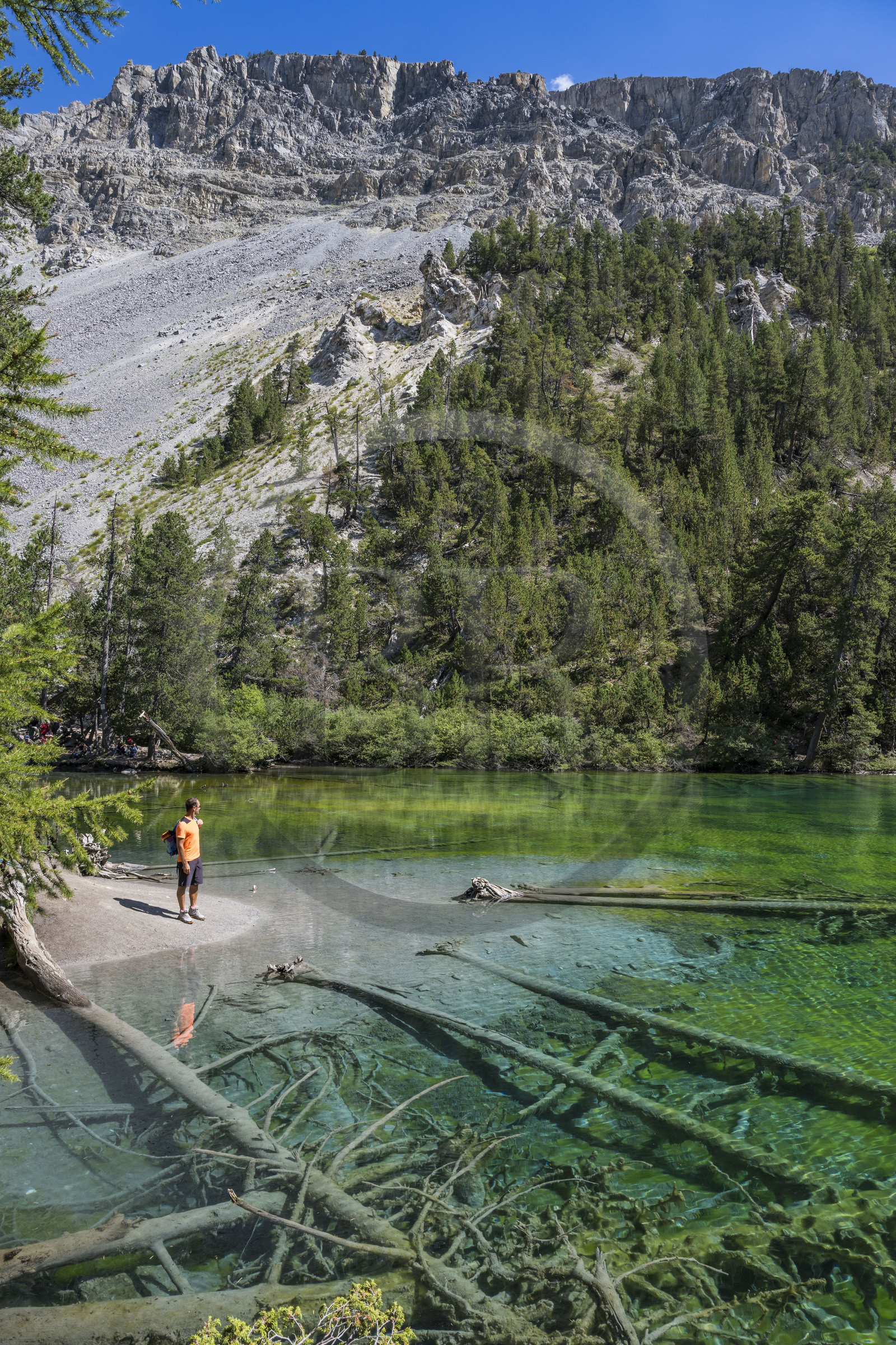 France, Hautes Alpes (05), Névache, la Vallée Étroite à la frontière italienne, le lac Vert (alt. 1834 m)