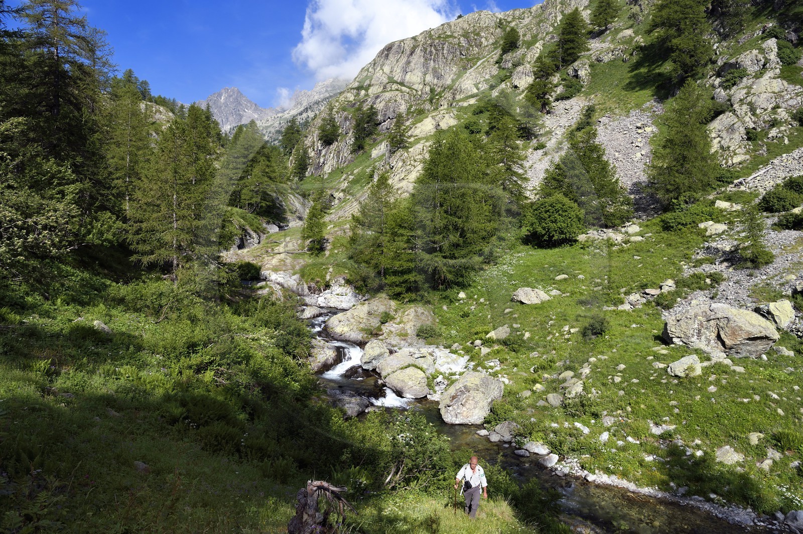 France, Alpes-Maritimes, parc national du Mercantour (Mercantour National Park), Valmasque river valley and peaks of high Valmasque, Alain Lanteri-Minet, guide and former park ranger
