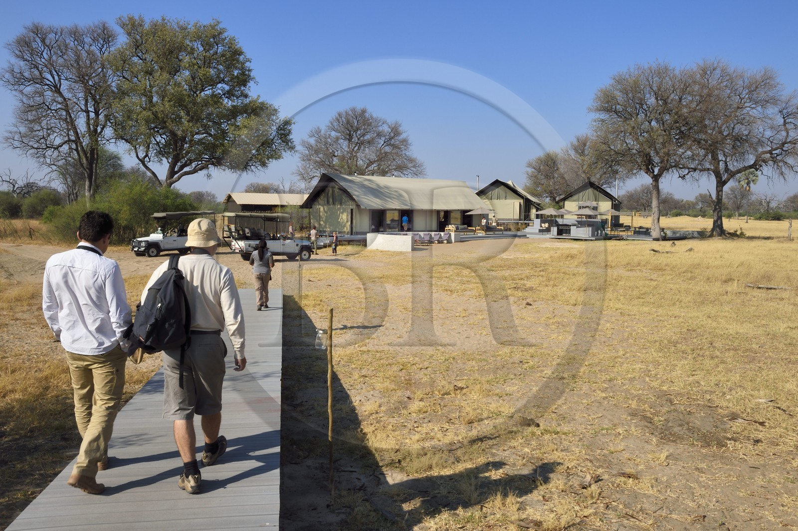 Zimbabwe, province de Matabeleland septentrional, parc national Hwange, Wilderness Safaris Linkwasha Camp