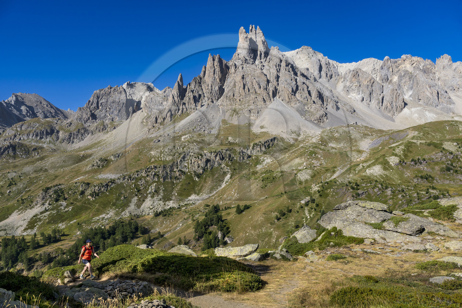 France, Hautes Alpes (05), le Briançonnais, Névache, randonneuse dans la vallée de la Clarée, le massif des Cerces et les pointes de la Main de Crépin (2942m) en arrière-plan