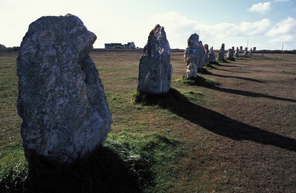 France, Finistère (29), Presqu'île du Crozon. les alignements de menhirs de Lagatjar