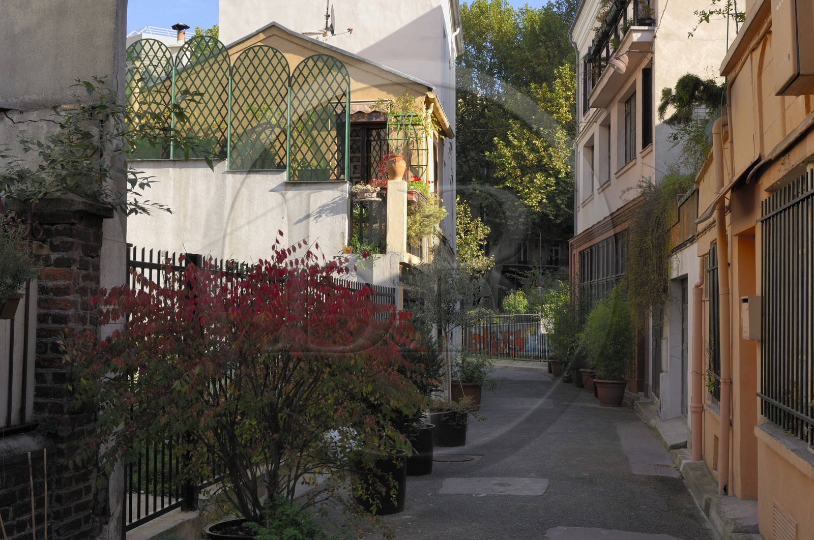 France, Paris (75), jardin communautaire de la Cité Leroy