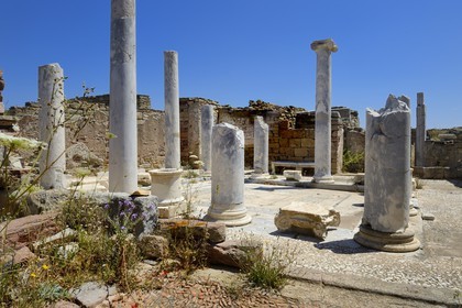 Greece, Cyclades islands, Delos, listed as World Heritage by UNESCO, the archaeological site of Delos, Apollo's Sanctuary, the most ancient city of the Aegean Sea, the lake house