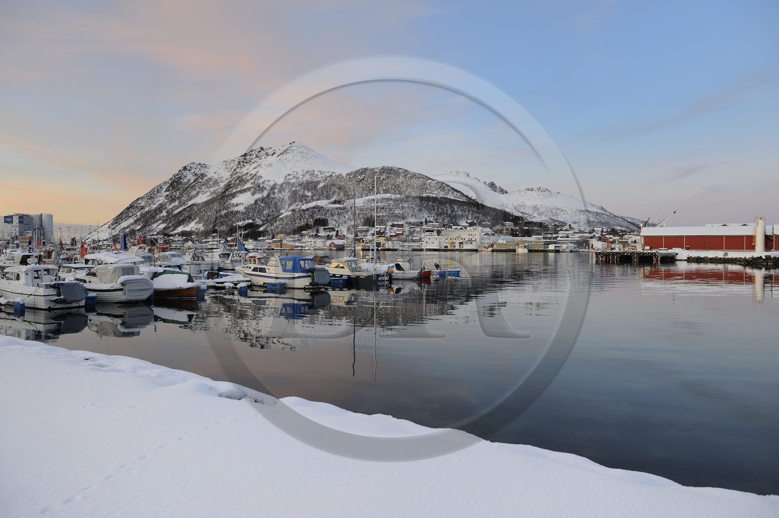 Norway, Nordland County, Vesteralen Islands, Myre harbour at dusk