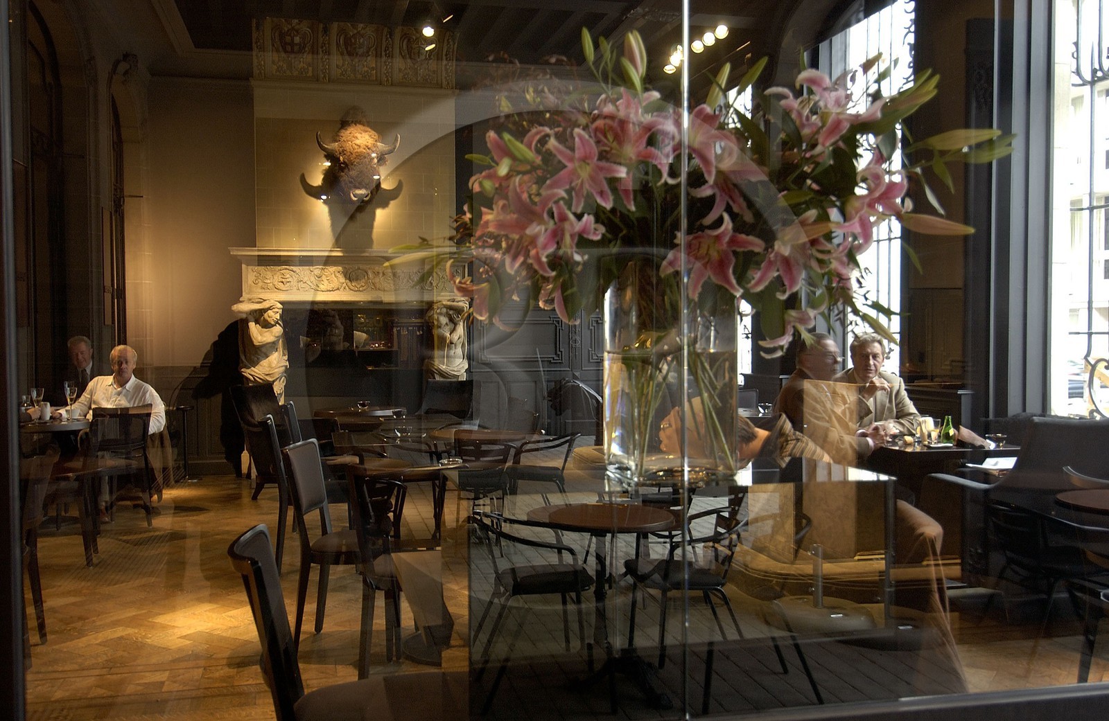 Belgium, Flanders, Antwerp (Antwerpen), café of the trendy Verso fashion shop