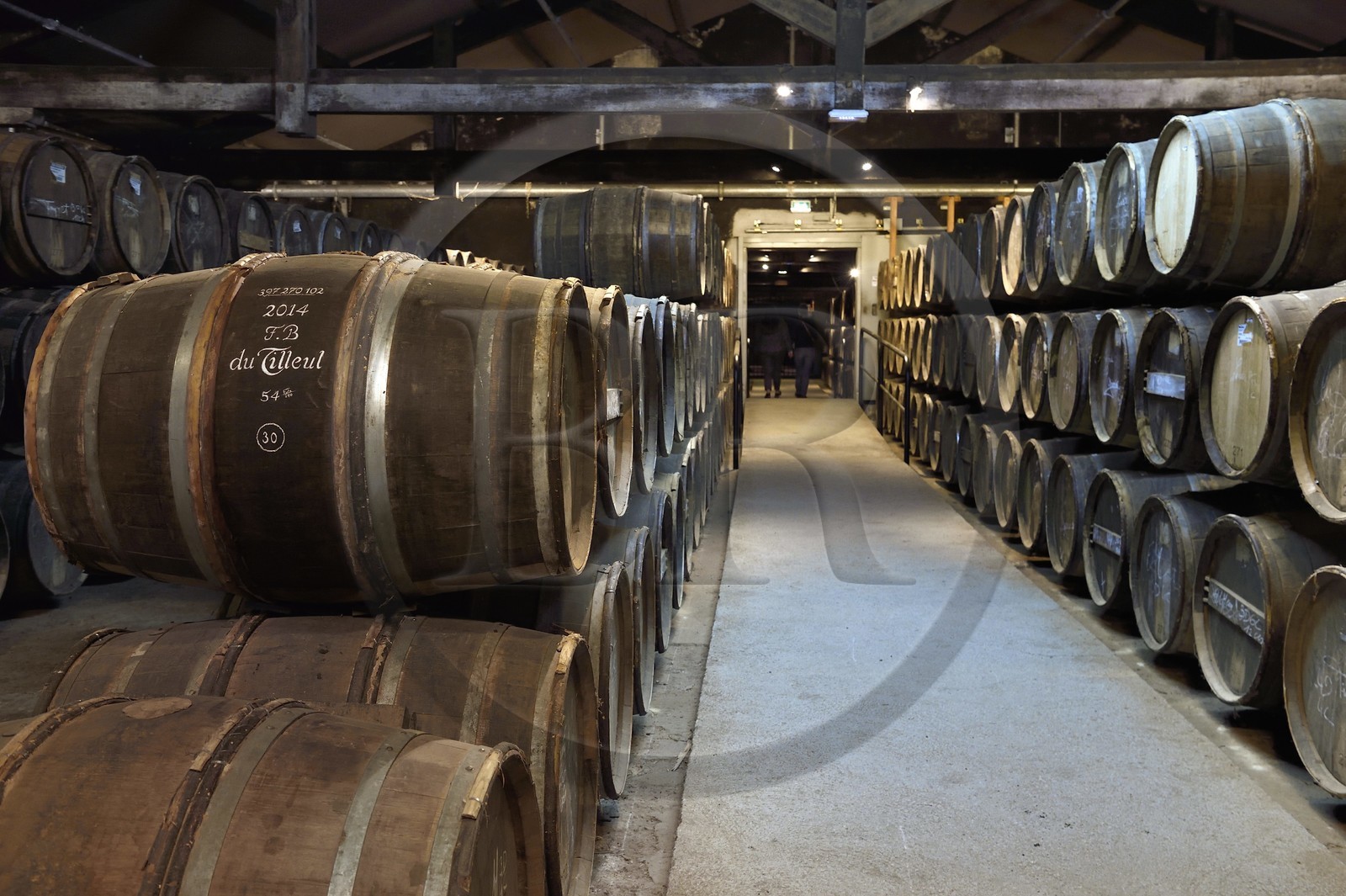 France, Charente, Cognac, barrels stored in Hennessy cognac House aging cellars