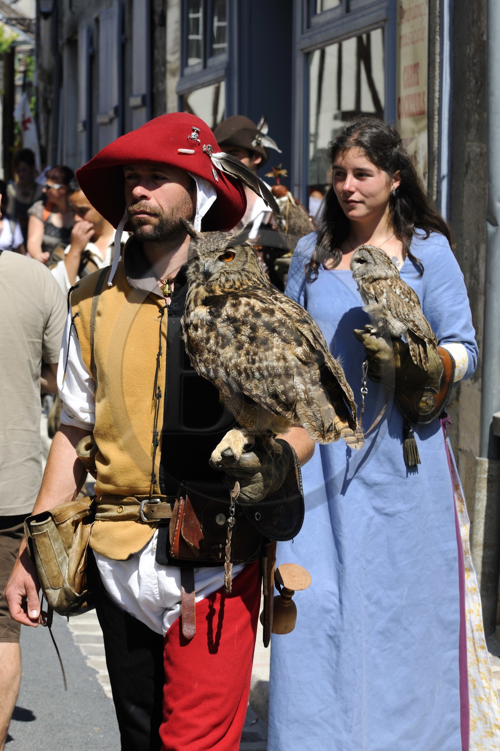 France, Seine et Marne (77), Les Médiévales de Provins, ville classée Patrimoine Mondial de l'UNESCO, fauconniers des Aigles de Provins avec chouettes