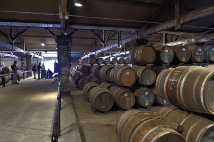 France, Charente (16), Cognac, tonneaux stockés dansles chais de vieillissement de la Maison de cognac Hennessy