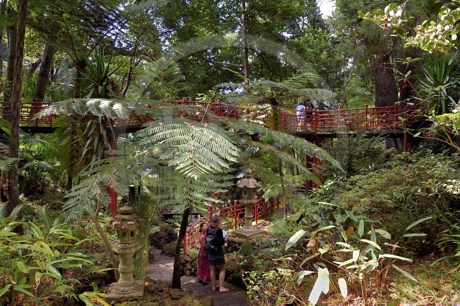 Portugal, Madeira Island, Funchal, the Monte Palace tropical garden