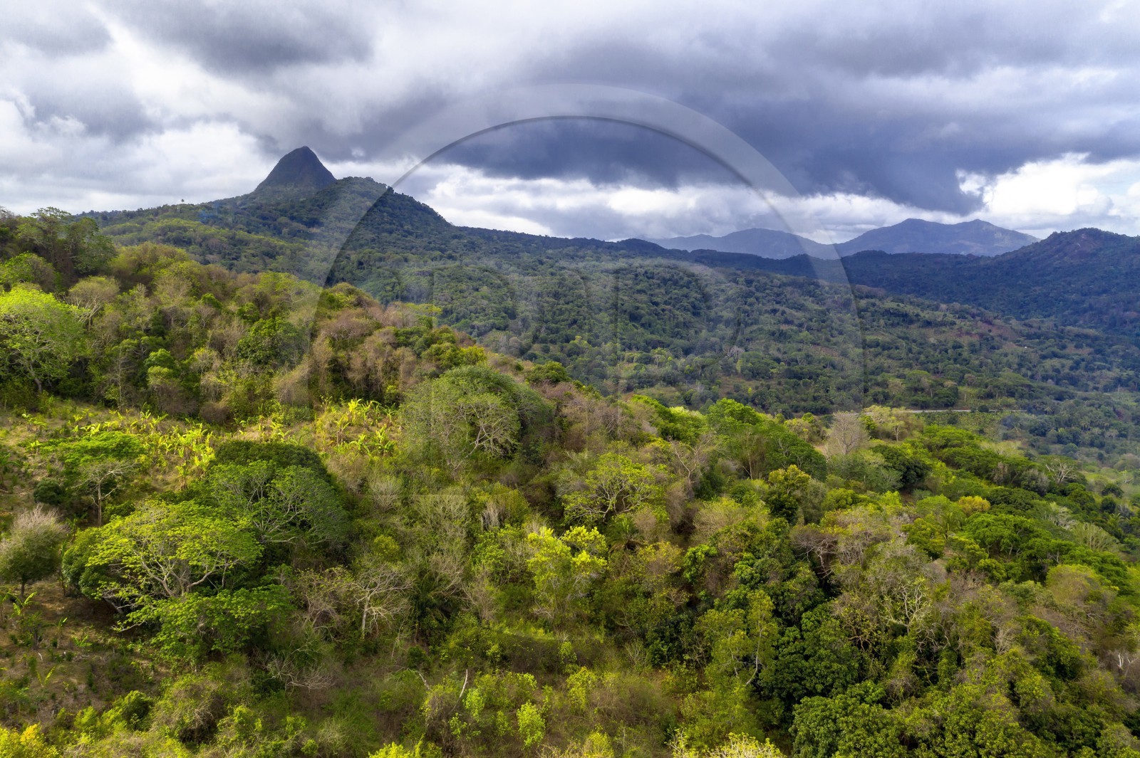 France, Ile de Mayotte, Grande-Terre, Réserve Forestière des Cretes du Sud, le le Mont Choungui (594 mètres) en arrière plan (vue aérienne)