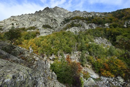 France, Haute-Corse (2B), Vivario, GR 20, étape entre le refuge de l'Onda et Vizzavona, foret de Vizzavona, les cascades des anglais, groupe de cascades dans la vallée de l'Agnone au pied du Monte d'Oro