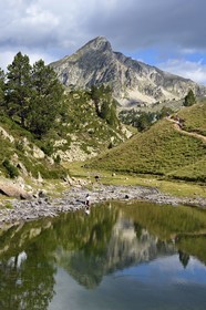 France, Hautes Pyrenees, Saint Lary Soulan and Vielle-Aure, hike on a variant of the GR10 between the Portet pass and the Bastan lakes on the edge of the Neouvielle nature reserve, the Pic de Bastan in the background