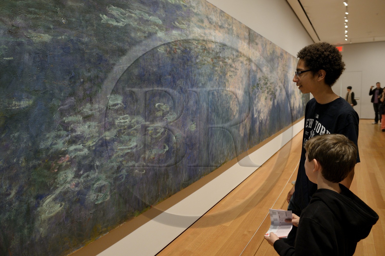 United States, New York, Manhattan, Midtown, Museum of Modern Art (MoMa), Claude Monet Water Lilies