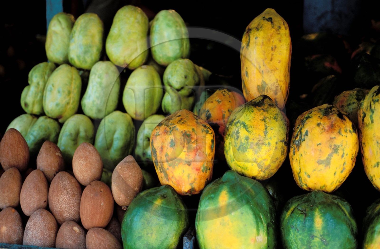 République Dominicaine, Saint-Domingue (Santo Domingo), le Mercado Modelo étalage de fruits et légumes