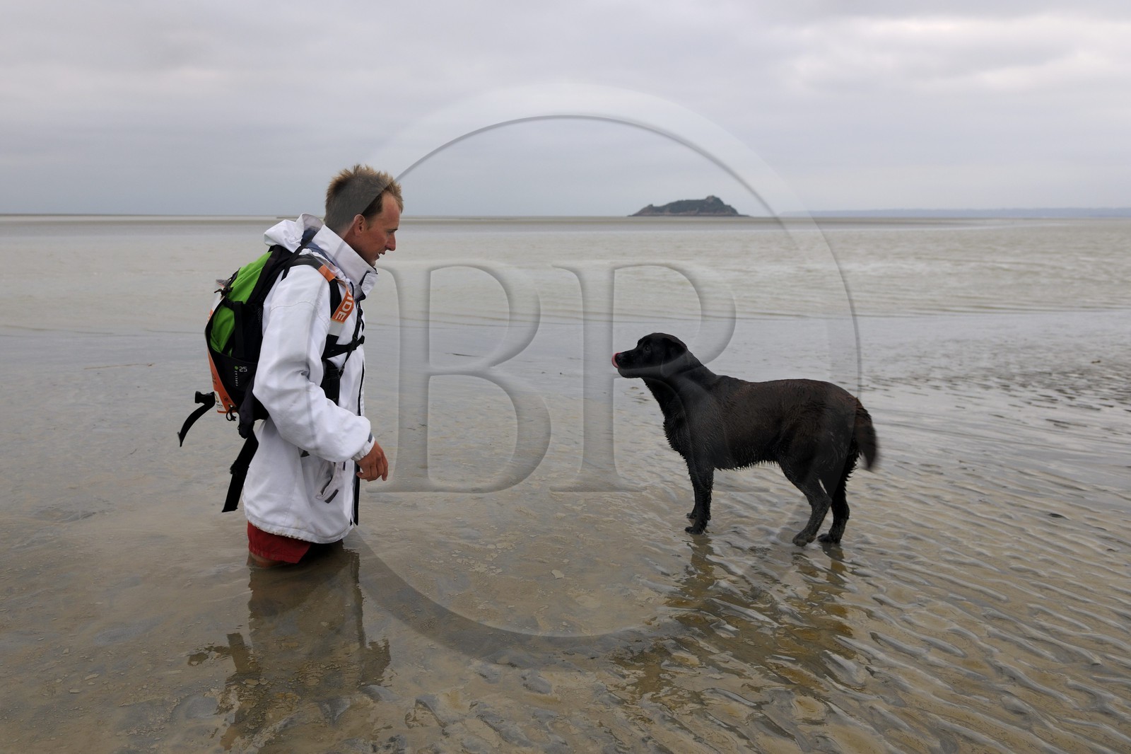 France, Manche, walking discovery of the Bay of Mont Saint Michel, the guide Romain Pilon deep in the sand and Tombelaine island in the background