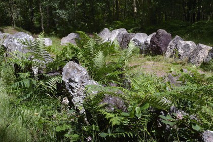 France, Morbihan (56), forêt de Brocéliande, le Jardin aux Moines, site mégalithique daté de 3000 à 2500 av J.C.