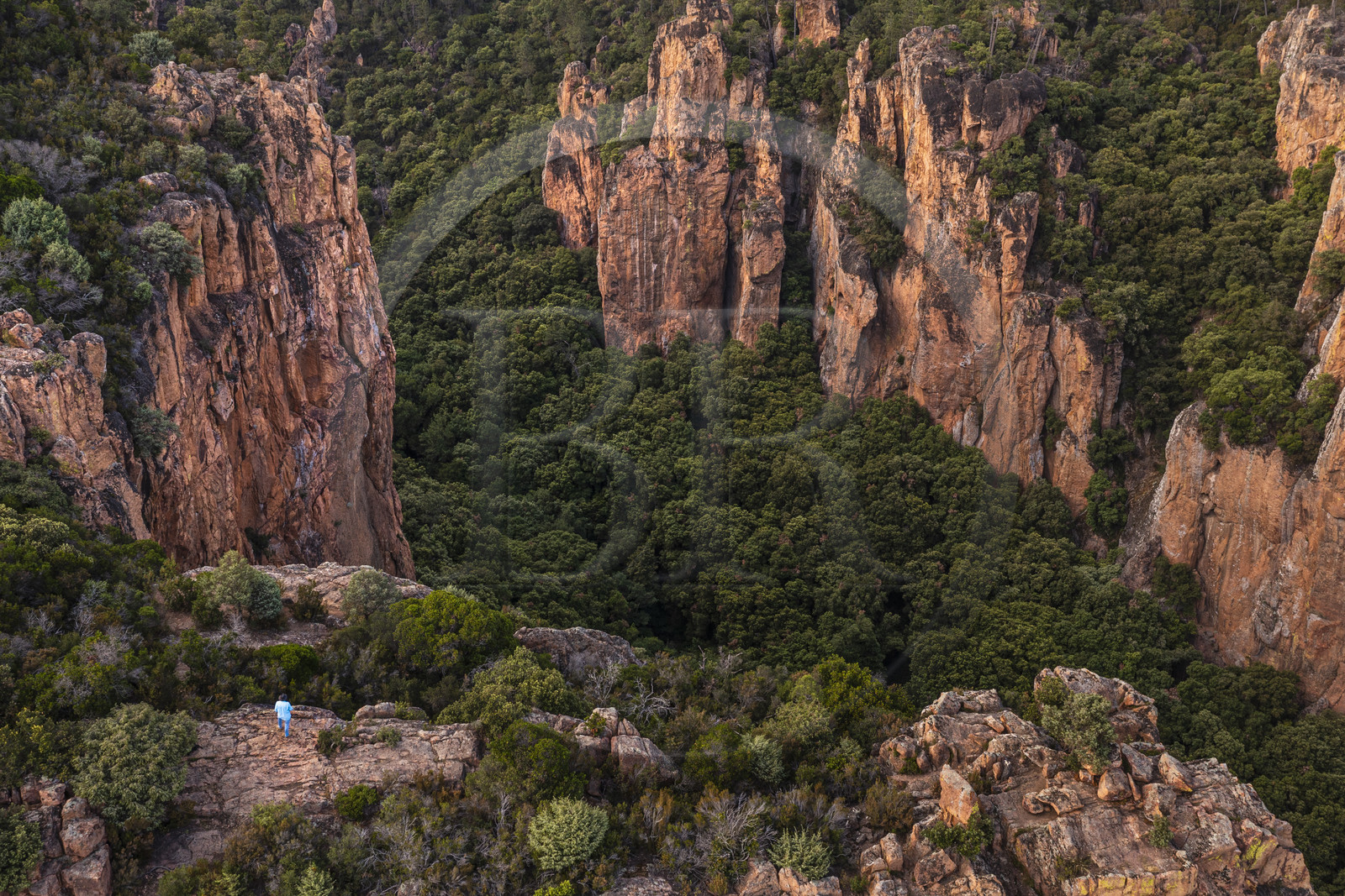 France, Var (83), entre Bagnols-en-Forêt et Roquebrune-sur-Argens, randonneur à l'entrée des Gorges du Blavet (vue aérienne)