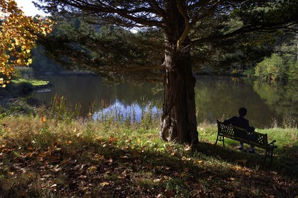 France, Bas-Rhin, Parc regional des Vosges du nord (Northern Vosges Regional Natural Park), La Petite Pierre, pond of Imstahl