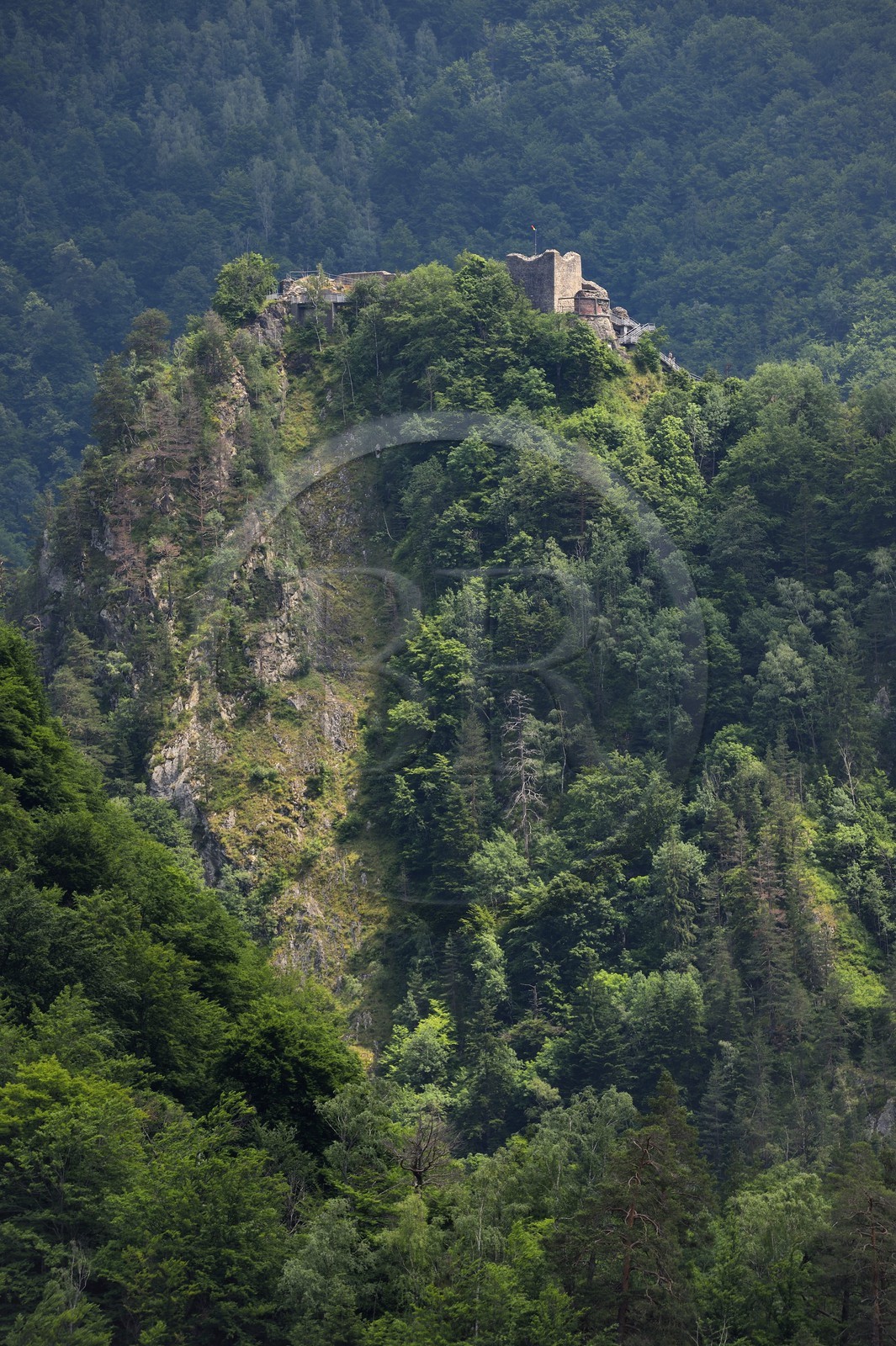 Roumanie, Valachie, Muntenie, Comté de Arges aux abords de la Transylvanie, château de Poenari qui tient une place importante dans la légende de Vlad III l'Empaleur alias Dracula et est réputé pour être hanté
