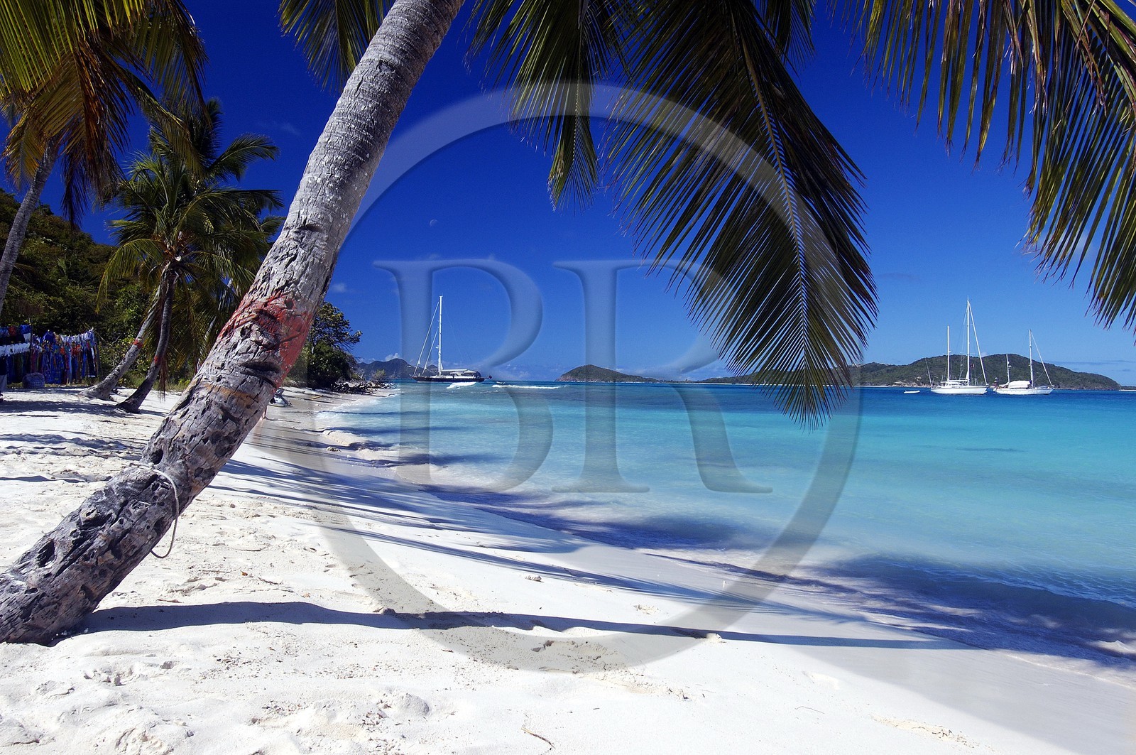 Caraïbes, Saint-Vincent et les Grenadines, archipel des Tobago Cays, plage de petites îles inhabitées