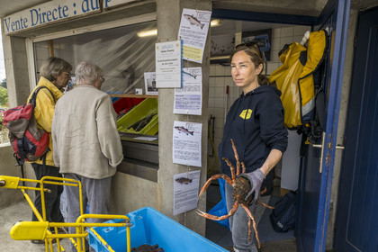 France, Finistère (29), Mer d'Iroise, Ile d'Ouessant, le bourg de Lampaul, Ondine Morin guide conférencière et pêcheur devant son étal de poissons et crustacés