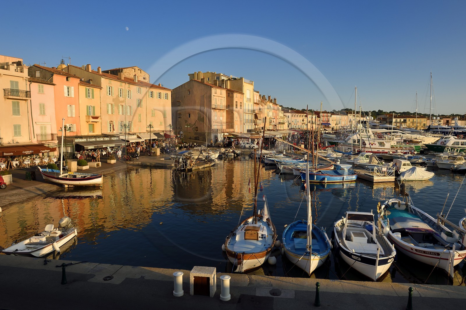 France, Var (83), Saint-Tropez, pointus (barques de pêche traditionnelles) dans le vieux port