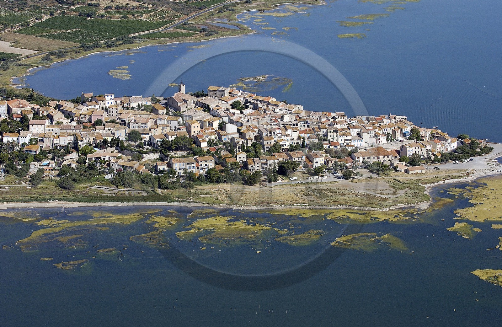 France, Aude, village of Bages on the pond of Bages and Sigean (aerial view)