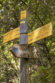 France, Vaucluse, Dentelles de Montmirail mountains, Sablet, signpost in the Prébayon valley for hiking trails towards Gigondas and Vaison-la-Romaine including the GR 4