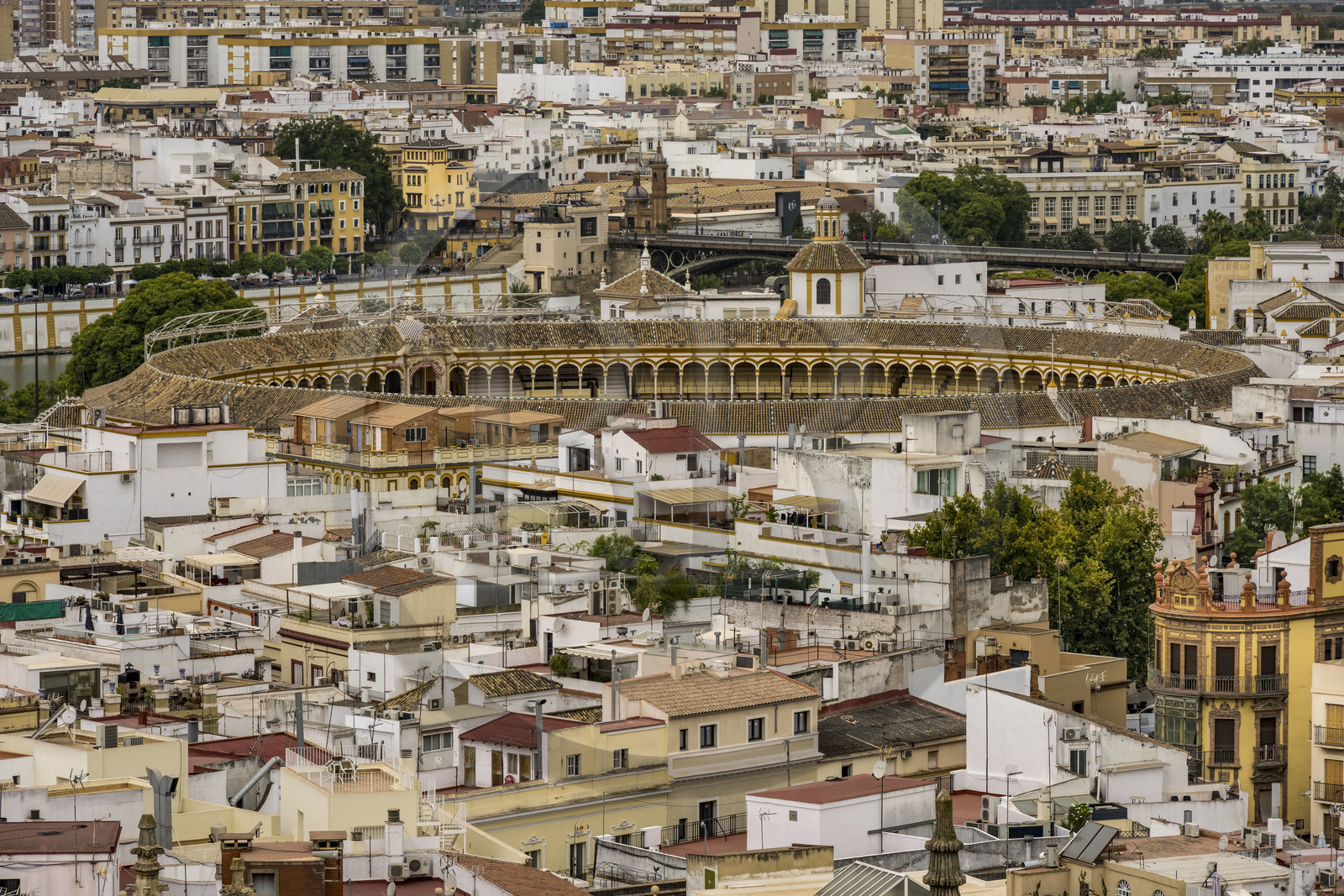 Espagne, Andalousie, Séville, les arênes Maestranza (plaza de Toros) et les toits de la vieille ville