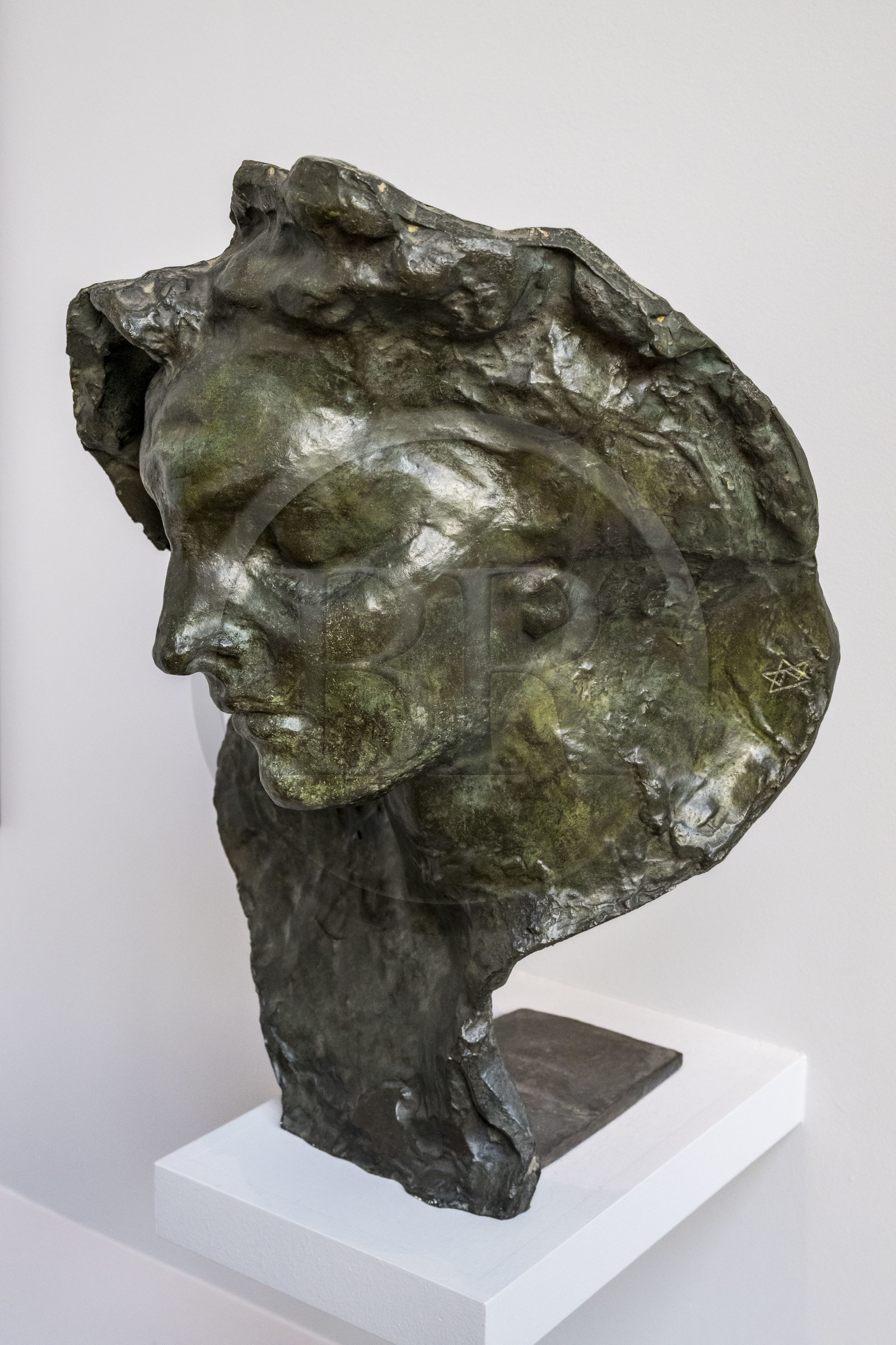 France, Paris, the museum of the sculptor Antoine Bourdelle, Interior Drama, female mask from 1899 (bronze)