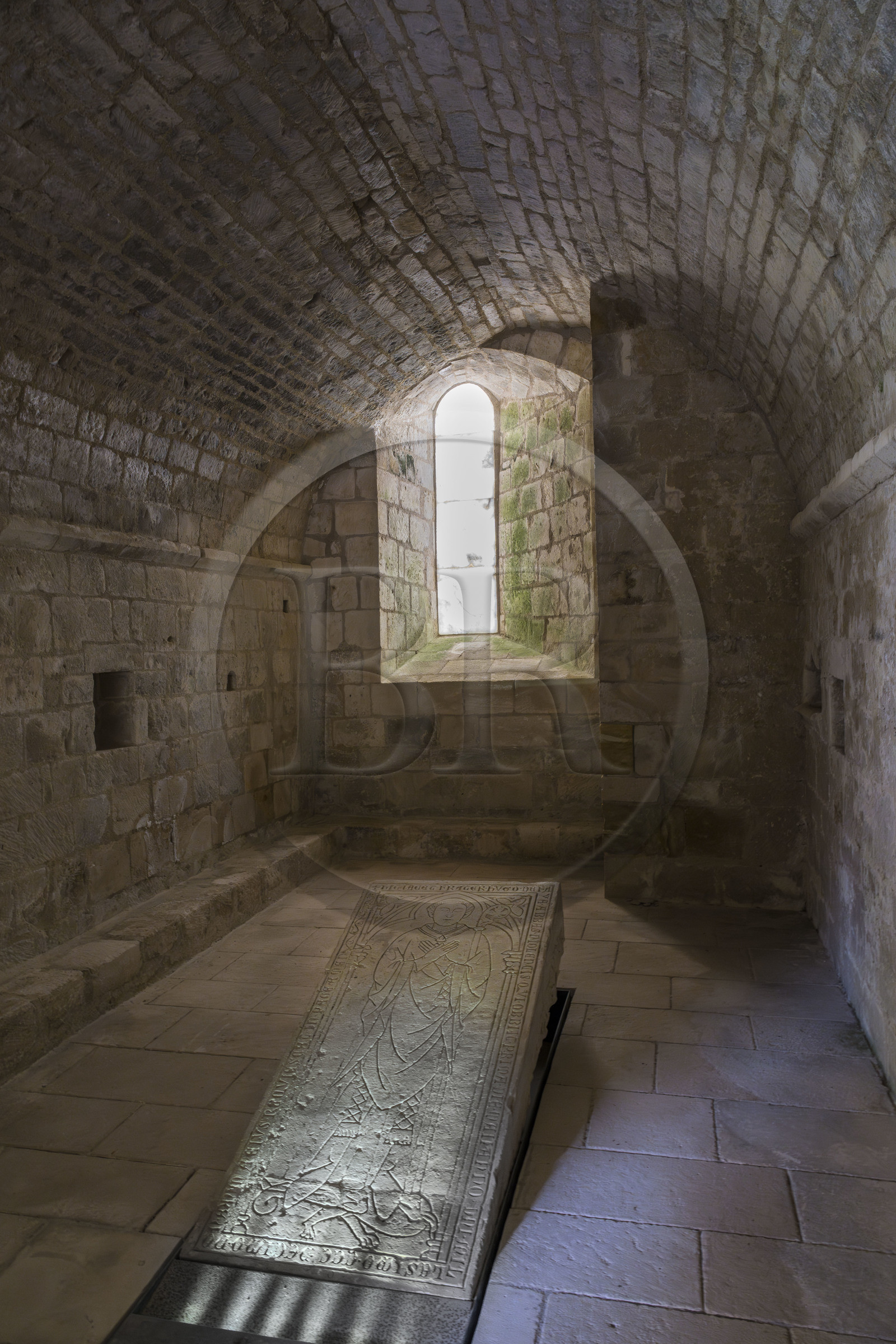 France, Vendée (85), Nieul-sur-l'Autise, Abbaye royale Saint-Vincent fondée en 1069, abrite la tombe d'Aénor de Châtelleraut mère d'Alienor d'Aquitaine, le cloitre