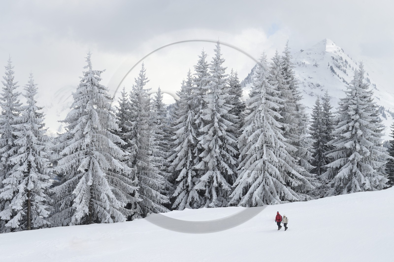 France, Haute-Savoie (74), Morzine