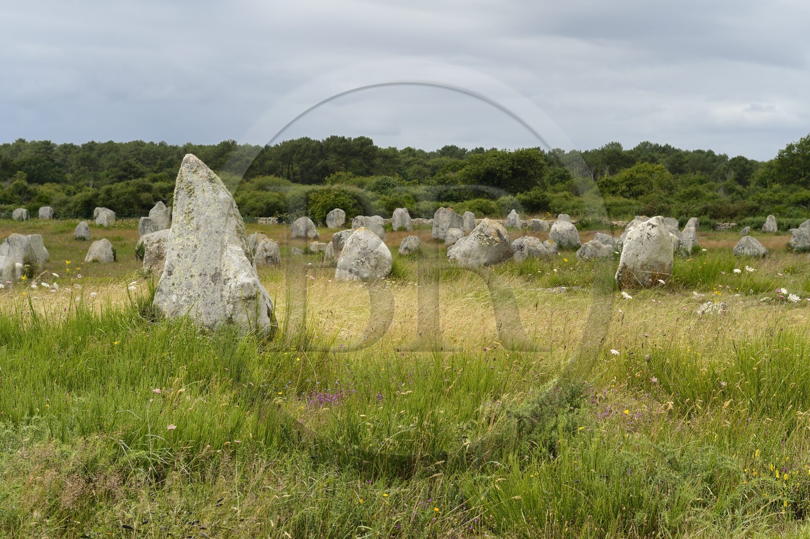 France, Morbihan (56), Carnac, alignement mégalithique du Menec
