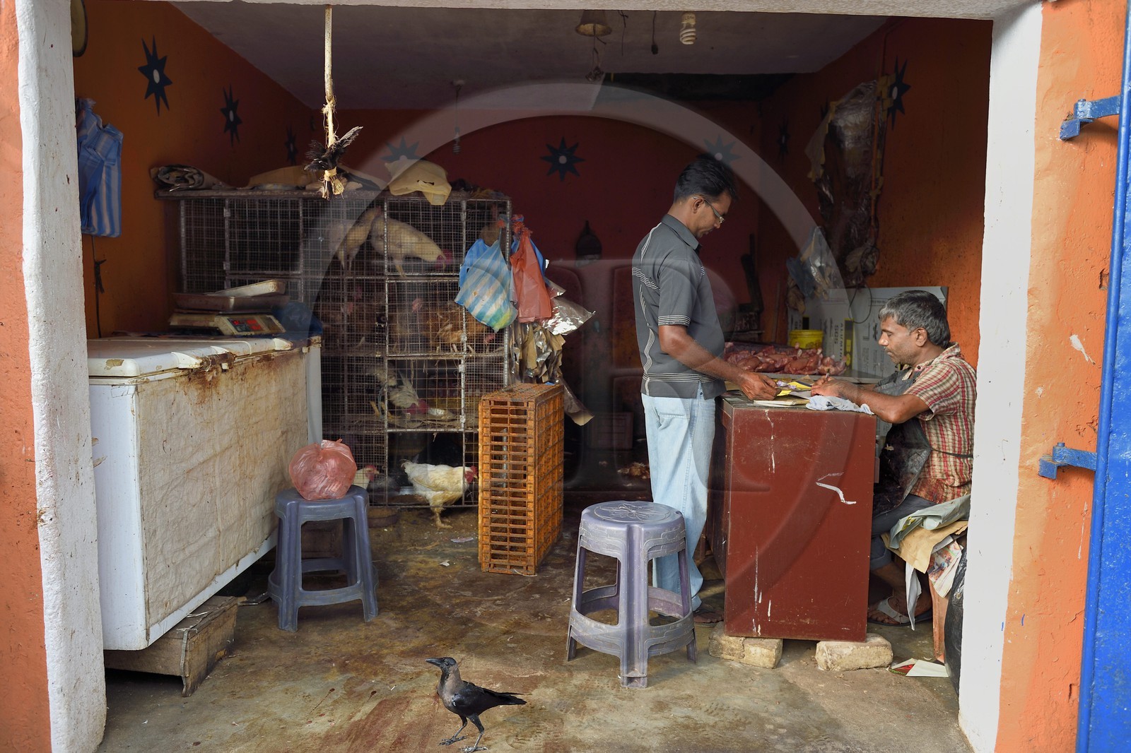 Sri Lanka, Western Province, Colombo District, Colombo, the poultry market in the district of Pettah